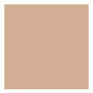 Clinique Even Better Make-Up - Neutral