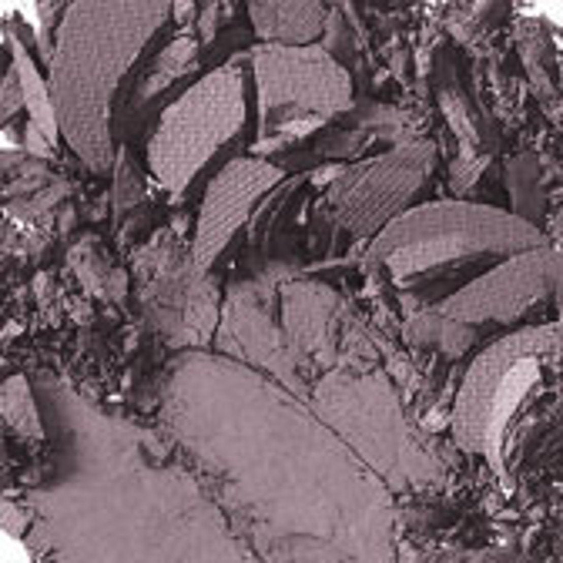 MAC Small Eye Shadow - Shale