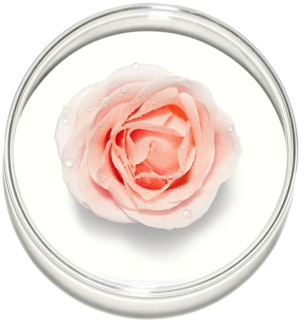 Lancome Hydra Zen Moisturising Rich Cream