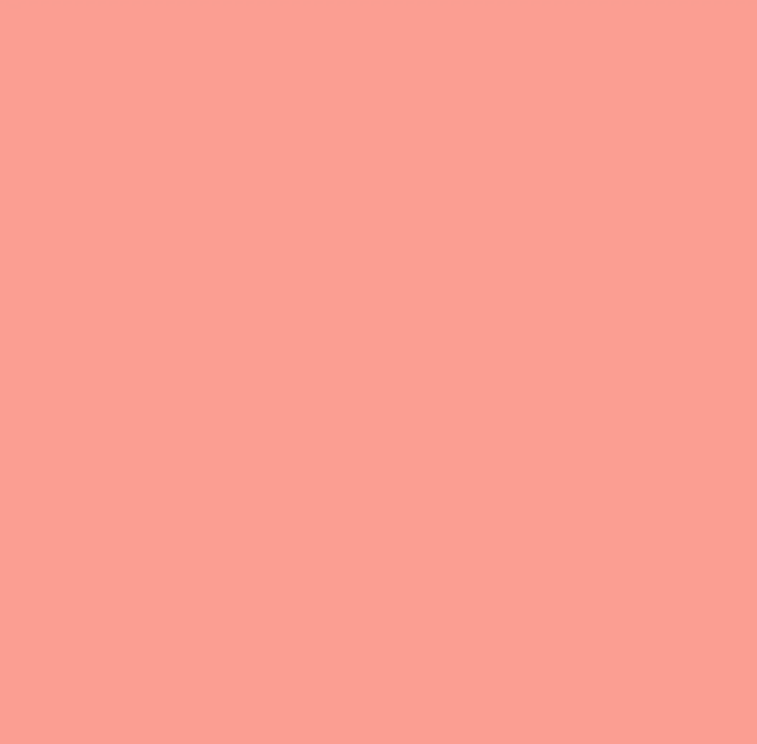 Nars Blush - Torrid